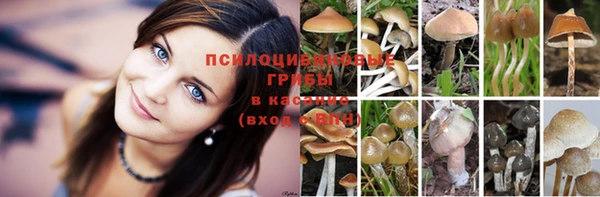 героин Аркадак