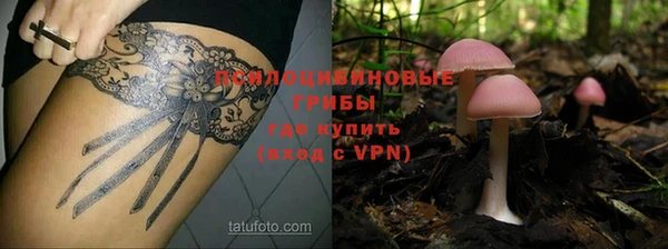 ГАЛЛЮЦИНОГЕННЫЕ ГРИБЫ Алзамай