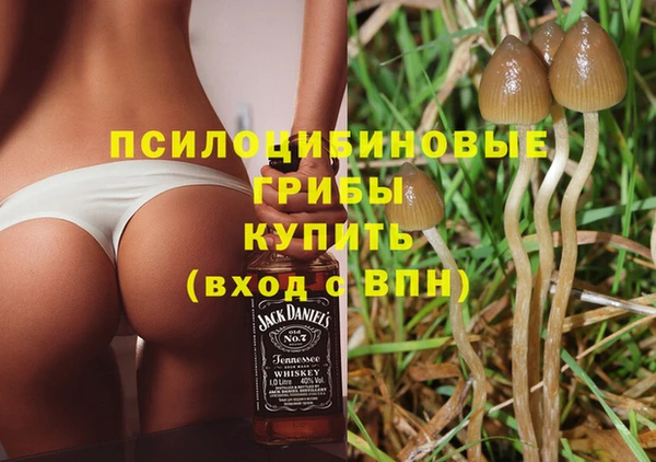 ALPHA PVP Алексеевка