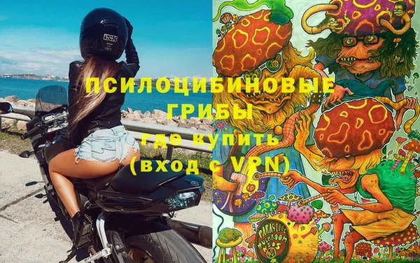 ГАЛЛЮЦИНОГЕННЫЕ ГРИБЫ Алзамай