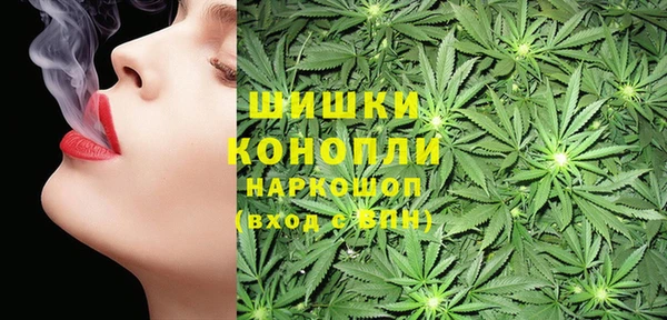 ГАЛЛЮЦИНОГЕННЫЕ ГРИБЫ Алзамай