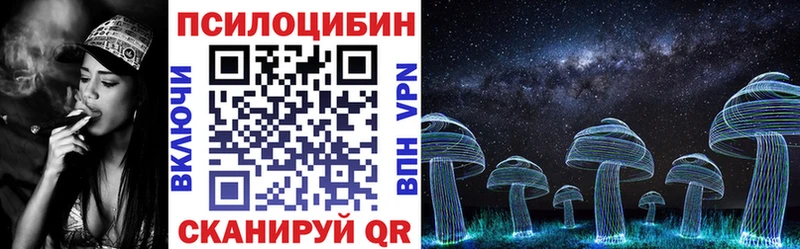 Купить где  Горячеводский  Псилоцибиновые грибы прущие грибы 